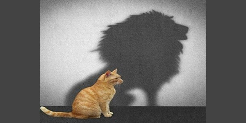 Can in front of a lion shadow