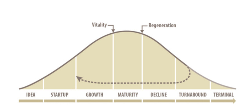 Nonprofit Lifecycle